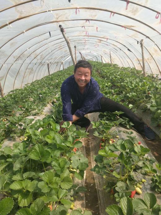 堪称样板!这家合作社有“独门秘笈”,还是有“高人指点”