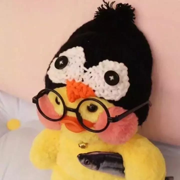 36张网红玻尿酸鸭头像图：遇见就好了，余生就算了