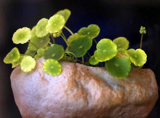 穷不走亲富不还乡自己要看清楚,穷不走亲富不还乡老话说的有道理