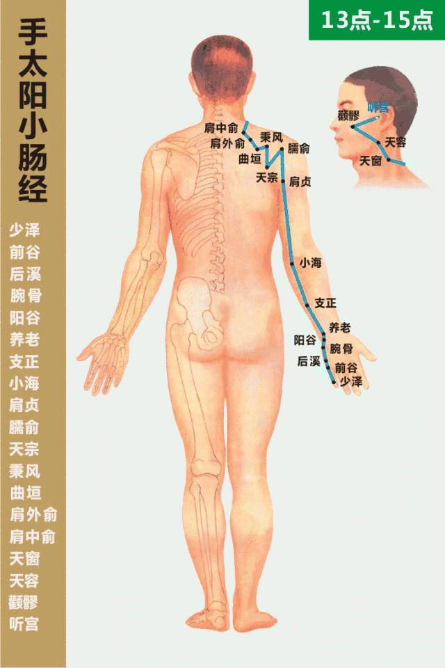 零基础学习中医按摩,零基础学中医按摩
