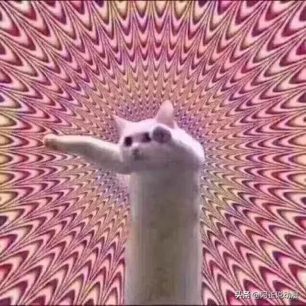 看这个大佬的动画，10个人有9个都会晕过去