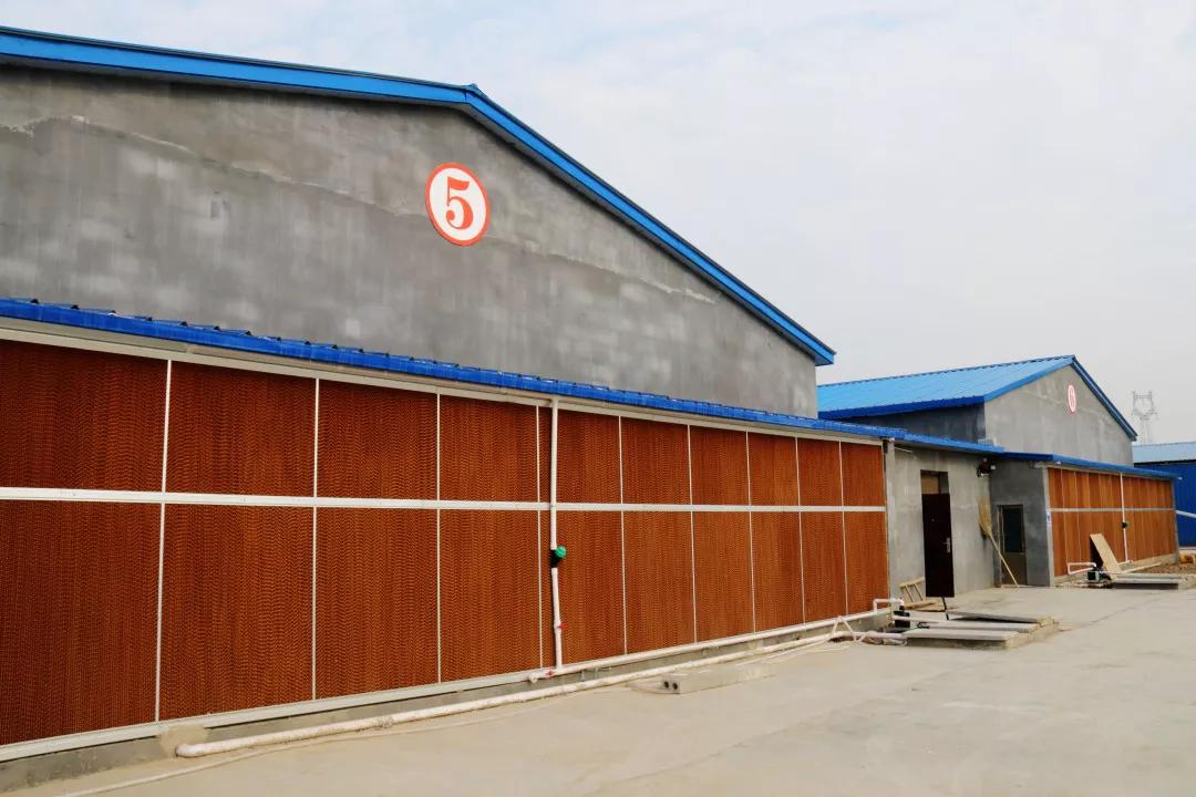 助力村民养鸡致富,山东裕生禽业有限公司