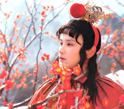 红楼梦群芳夜宴花语,红楼梦花语解读