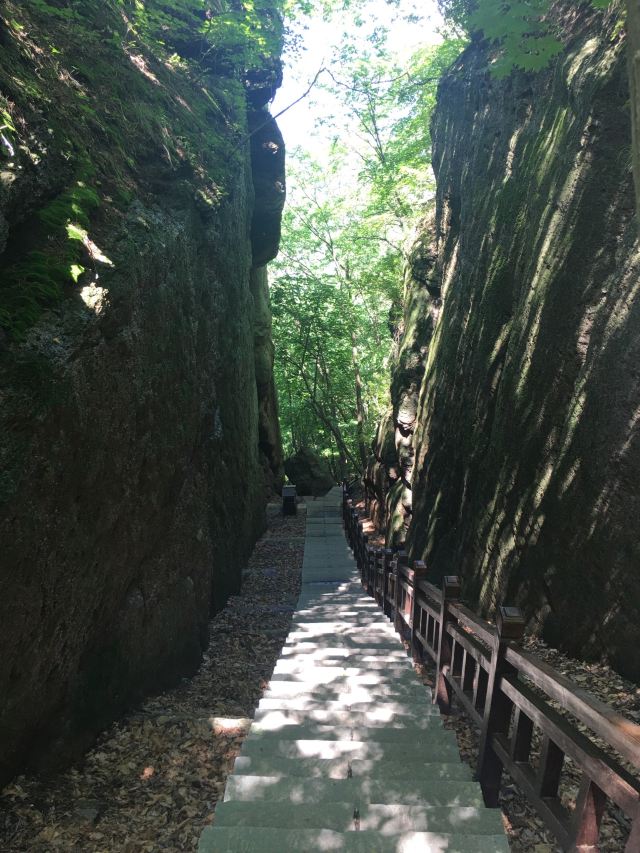 东北四大遗产介绍,东北三项世界遗产