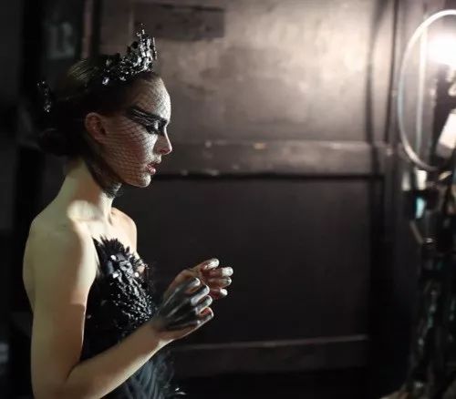 美丽的黑天鹅和白天鹅,美丽的黑天鹅完整版