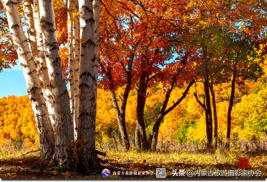 那山那水那滋味,那山那水那份爱
