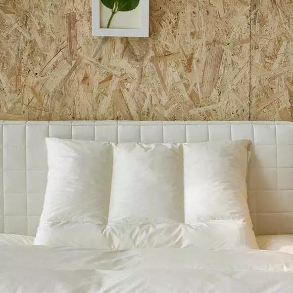 明星精致起来好吓人，花100万美金买床，20台加湿器放卧室