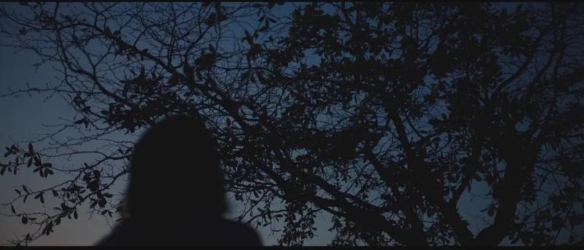 浅析韩国高分电影《燃烧》中的观后压抑感从何而来