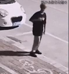 店老板养的猫咪,小卖部老板养了一只招财猫