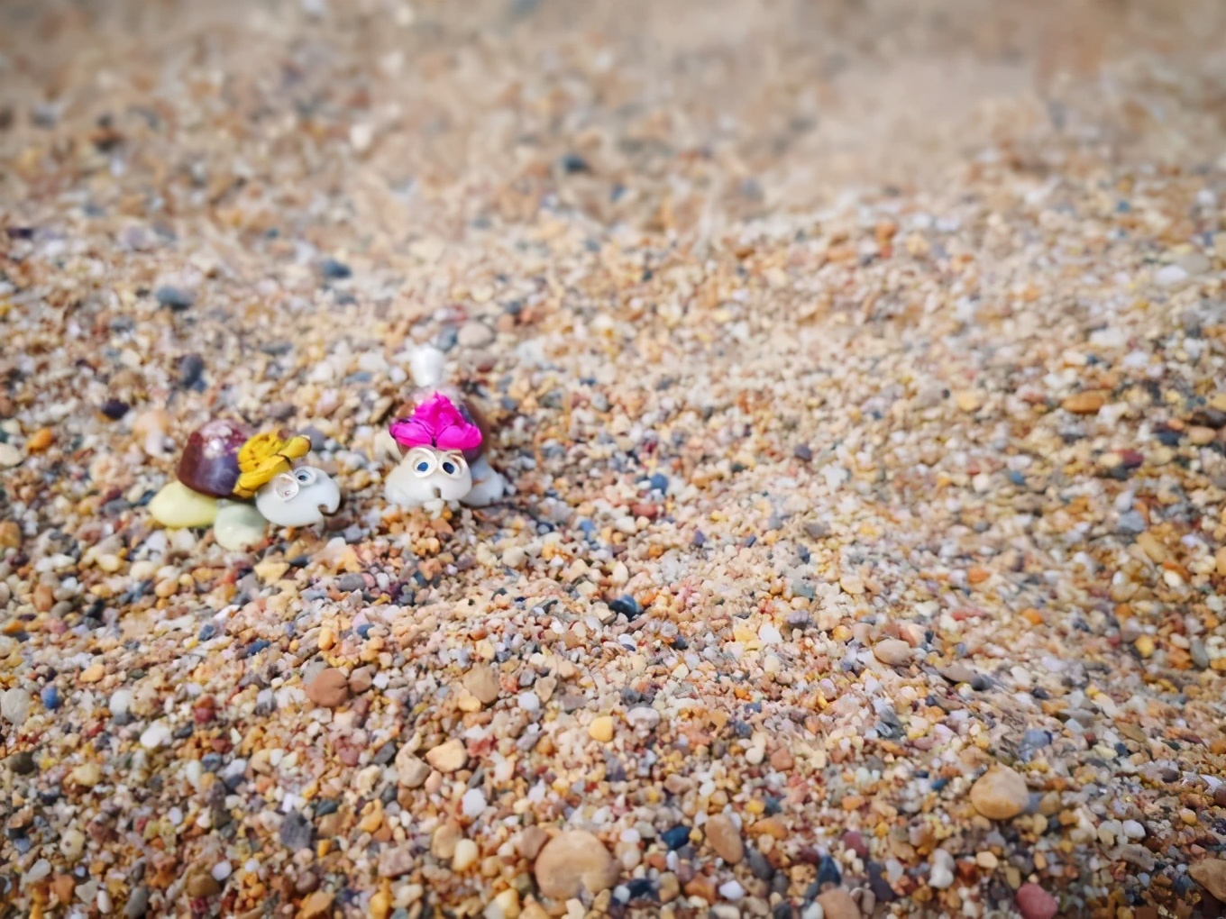 大连金石滩冬天一路美景,漫步在大连金石滩的黄金海岸