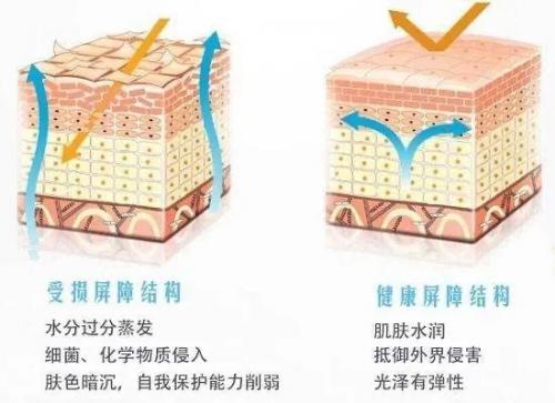 想要年轻的秘诀,想要年轻的四大秘诀