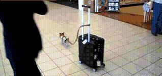 车门下面的塑料板裂了怎么修复,车门侧边裂了怎么修补