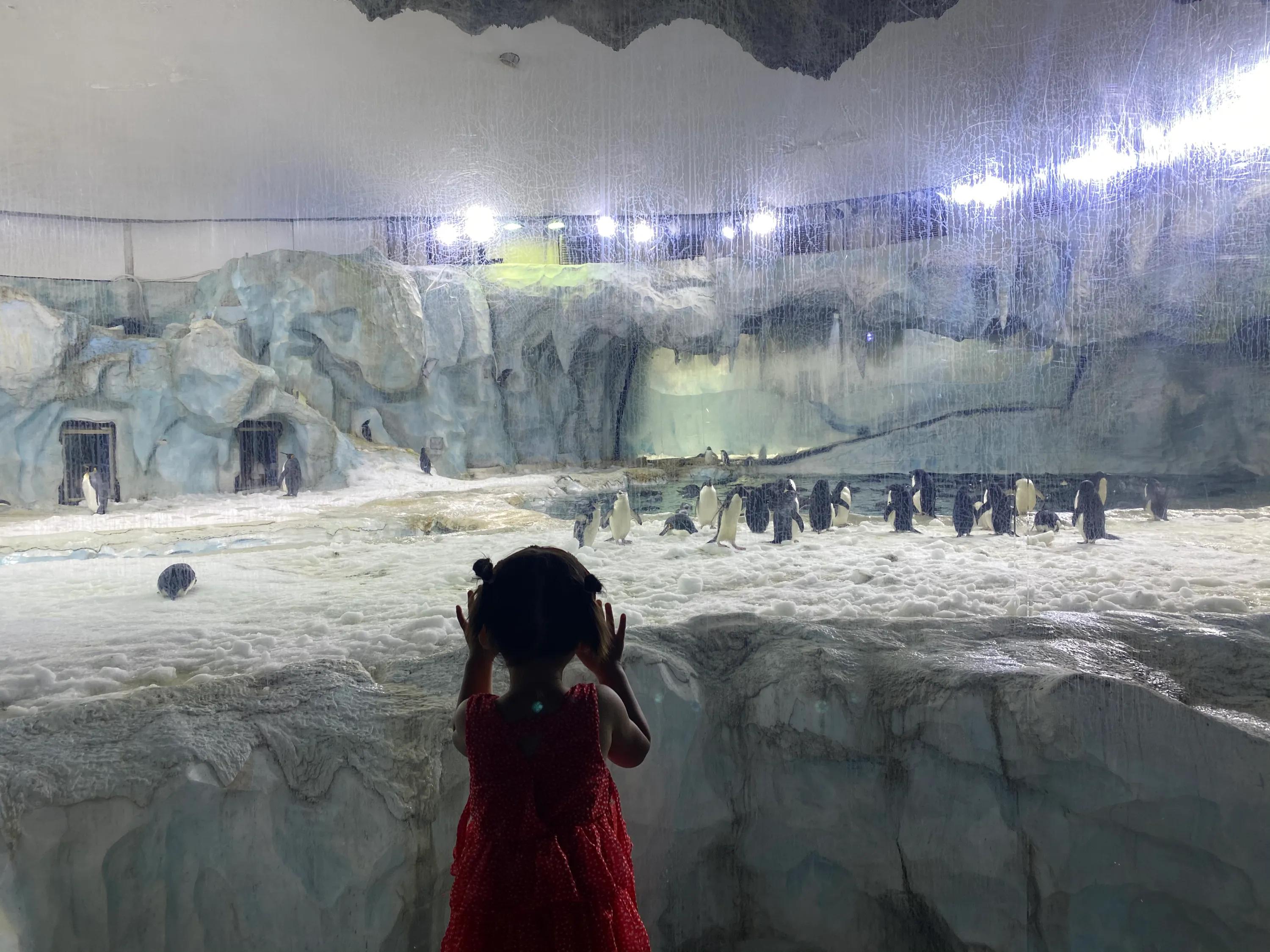 珠海长隆海洋王国游玩最省钱攻略,珠海长隆海洋王国游玩隐藏攻略