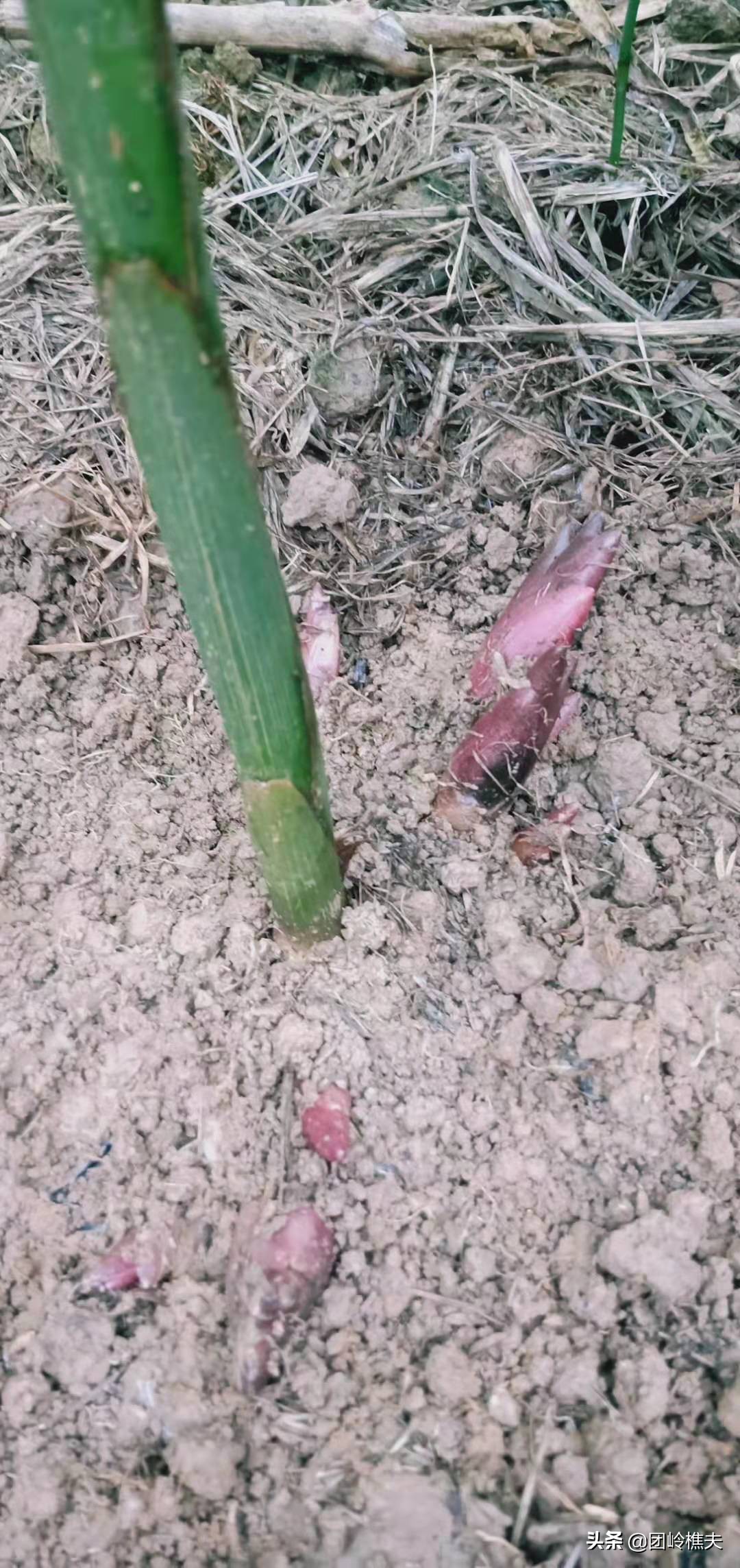 创业项目小项目,创业实用小项目