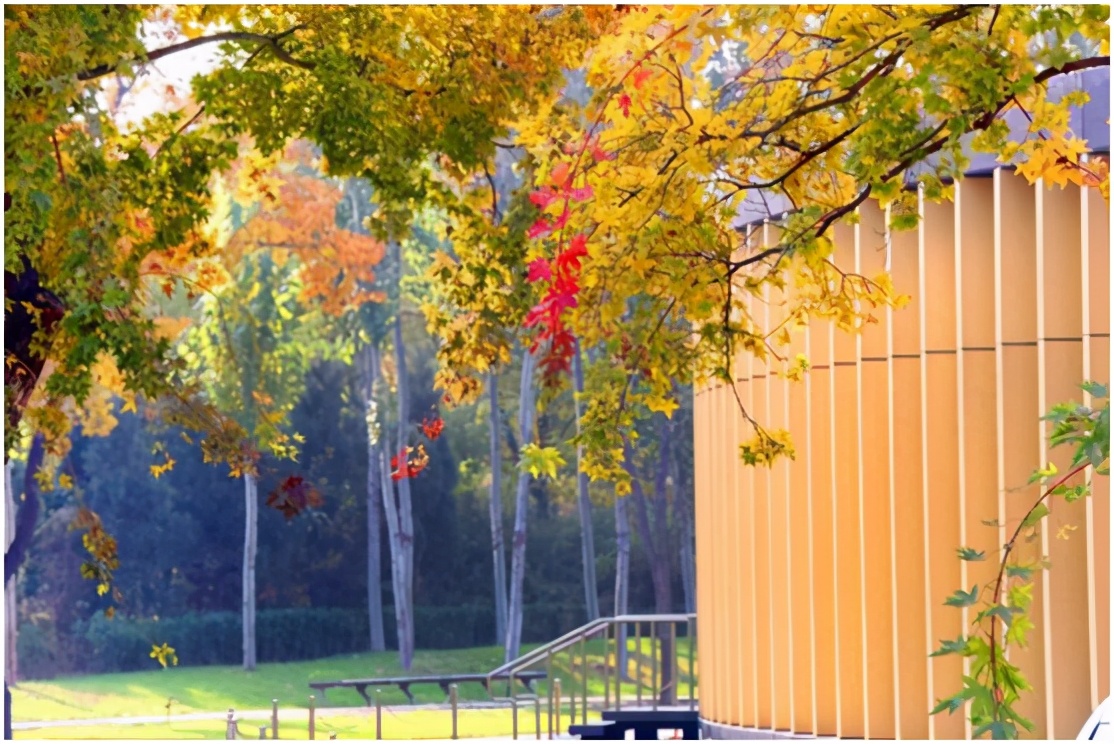 中欧掠影：我的中欧商学院EMBA经历（一）