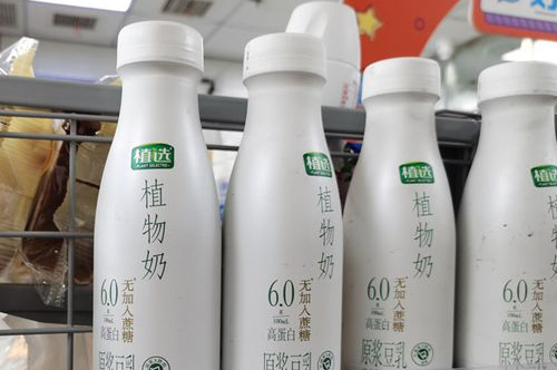 陕西植物蛋白饮品公司,养生饮品创意营销方案