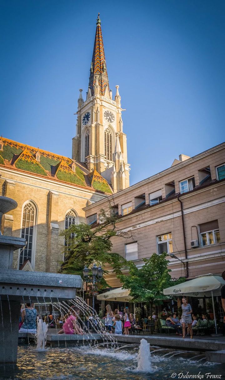 那些美到窒息的场景,那些美到让人窒息花海