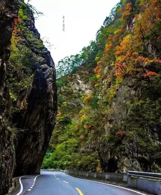 西安自驾秦岭秋色最好的地方,西安自驾一日游的绝佳去处秦岭