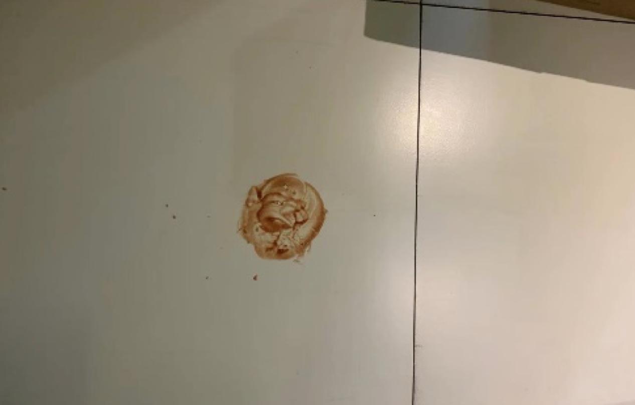 科沃斯扫地机器人x1清洁,科沃斯扫地机器人水量怎么选