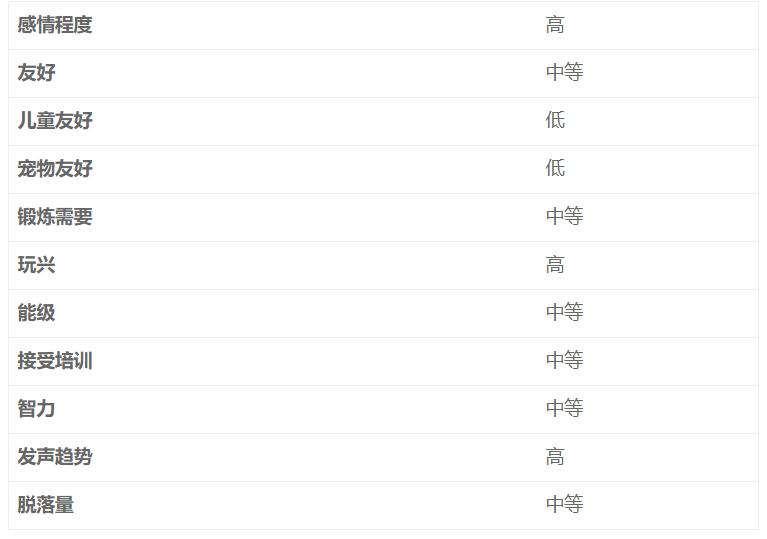 腊肠犬如何日常护理,腊肠犬怎么养得好