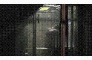 杨坤与多名美女亲密互动,杨坤夜会照片