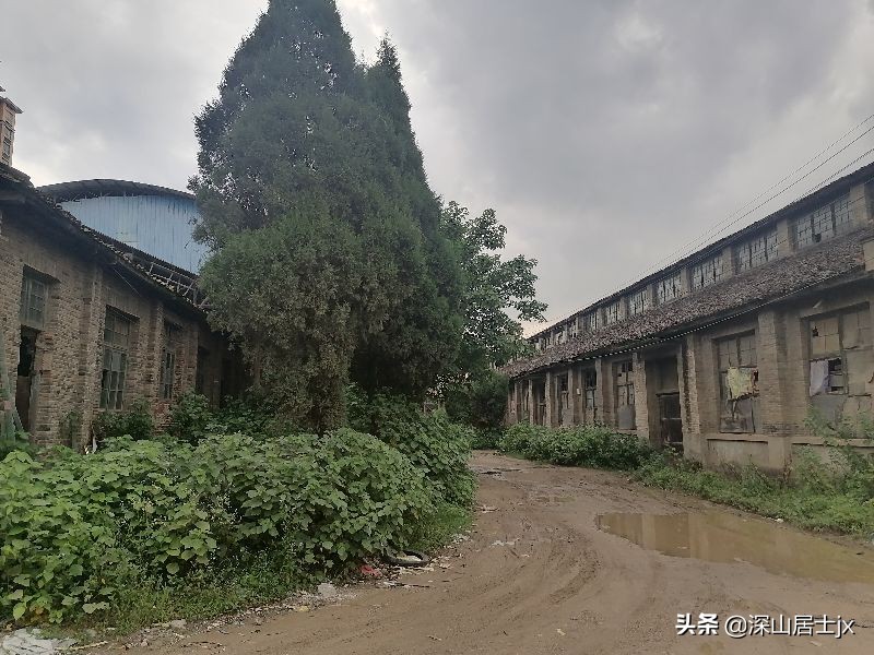 第一个下海的泰和县联合收割机厂