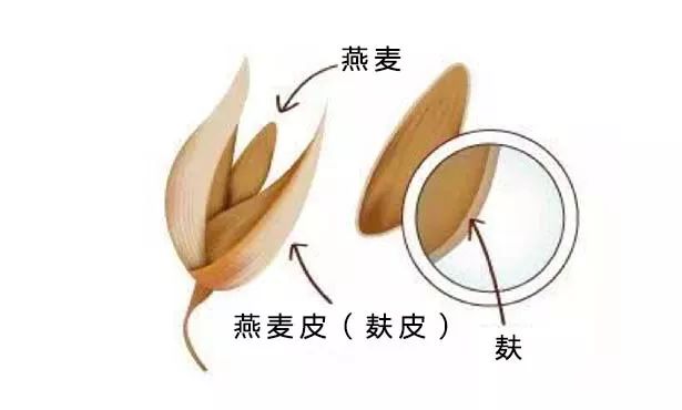 低卡零食别被骗了,低卡低脂零食骗局