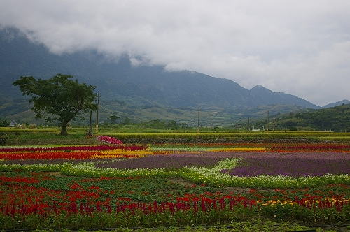 台湾东海岸攻略,台湾自由行旅游路线图攻略