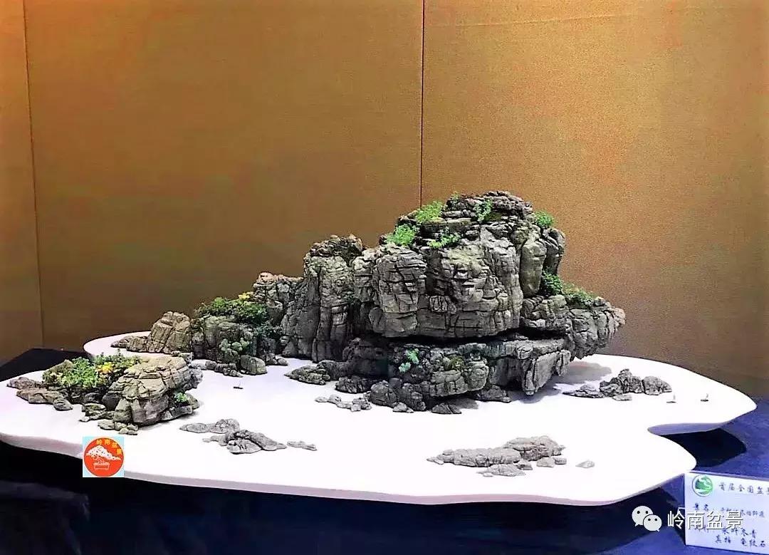 苍劲古朴挺拔有力的老桩盆景欣赏,老态龙钟盆景作品欣赏