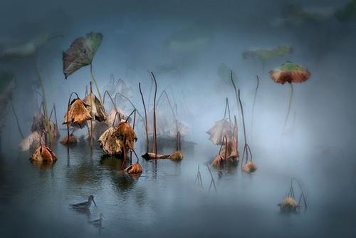 红楼梦林黛玉为什么不喜欢李商隐,林黛玉不喜欢李商隐留哪句台词