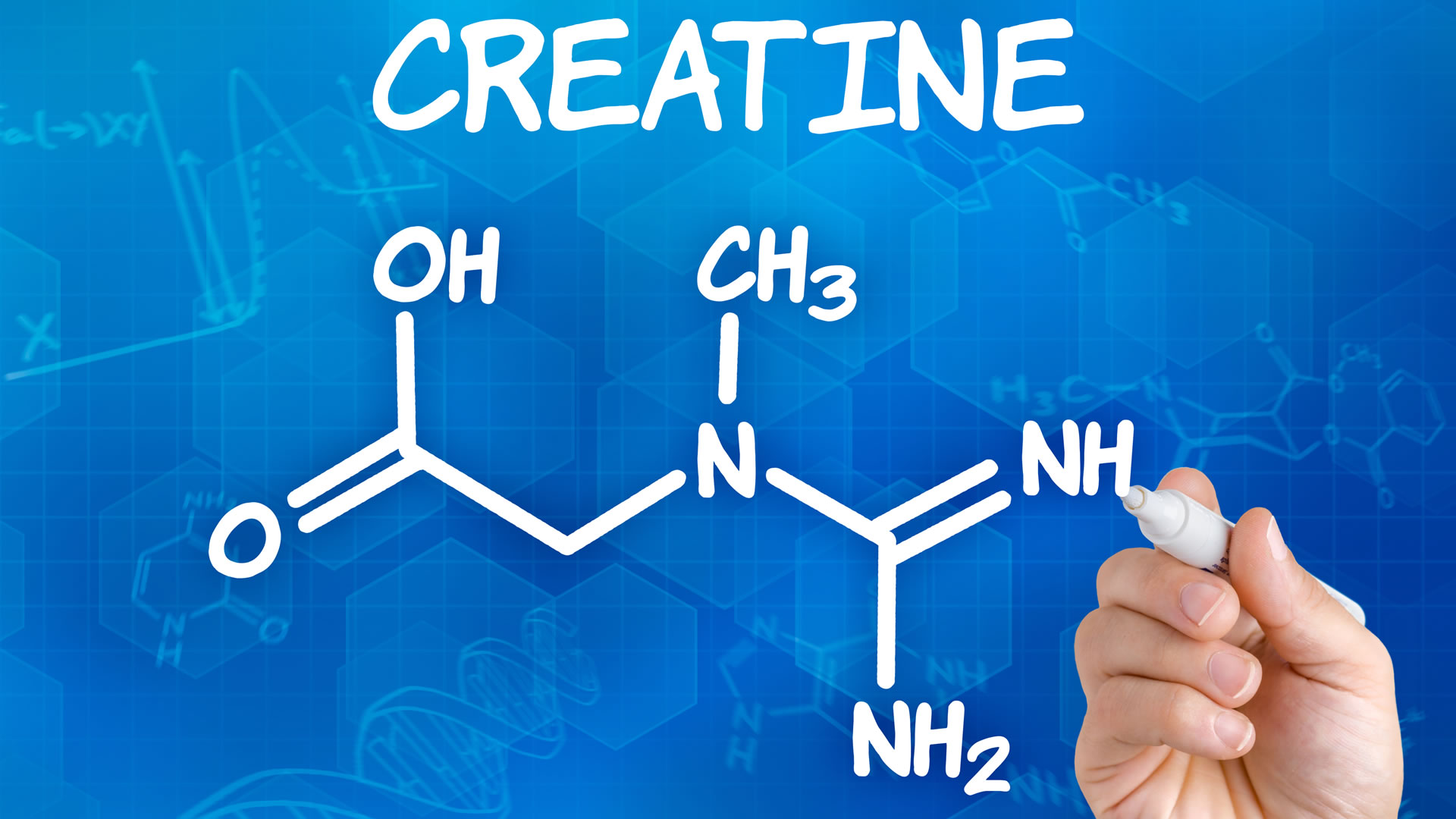 肌酸作为营养补剂获取,肌酸到底怎么用
