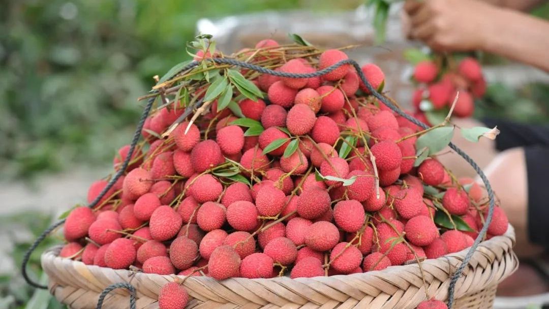 流传千年的风味,那一抹不变幻的甜,是莆田人心头好