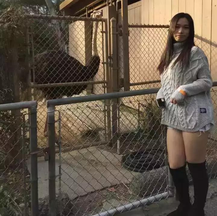 身材配不上脸,身材和脸不匹配是一种什么体验