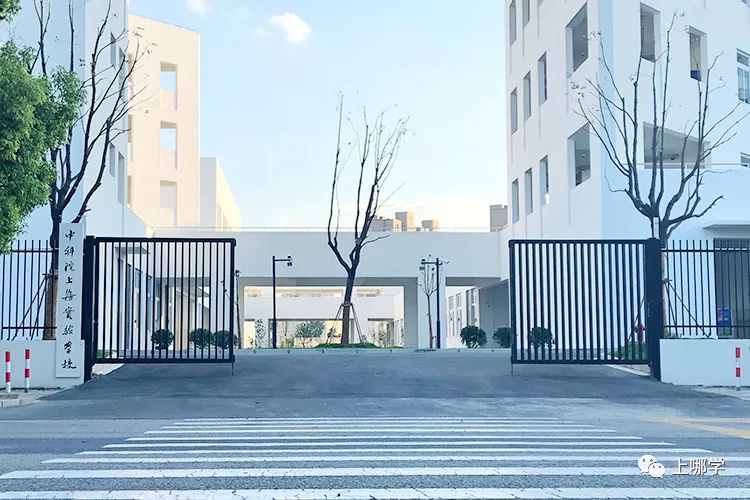 上海最好的十大民办初中,上海各区的顶级初中和一流初中