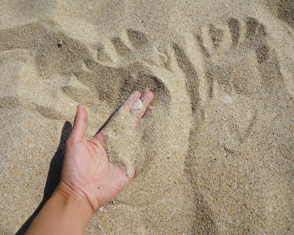 中国最贵的沙漠有多大,中国最值钱沙漠在哪里