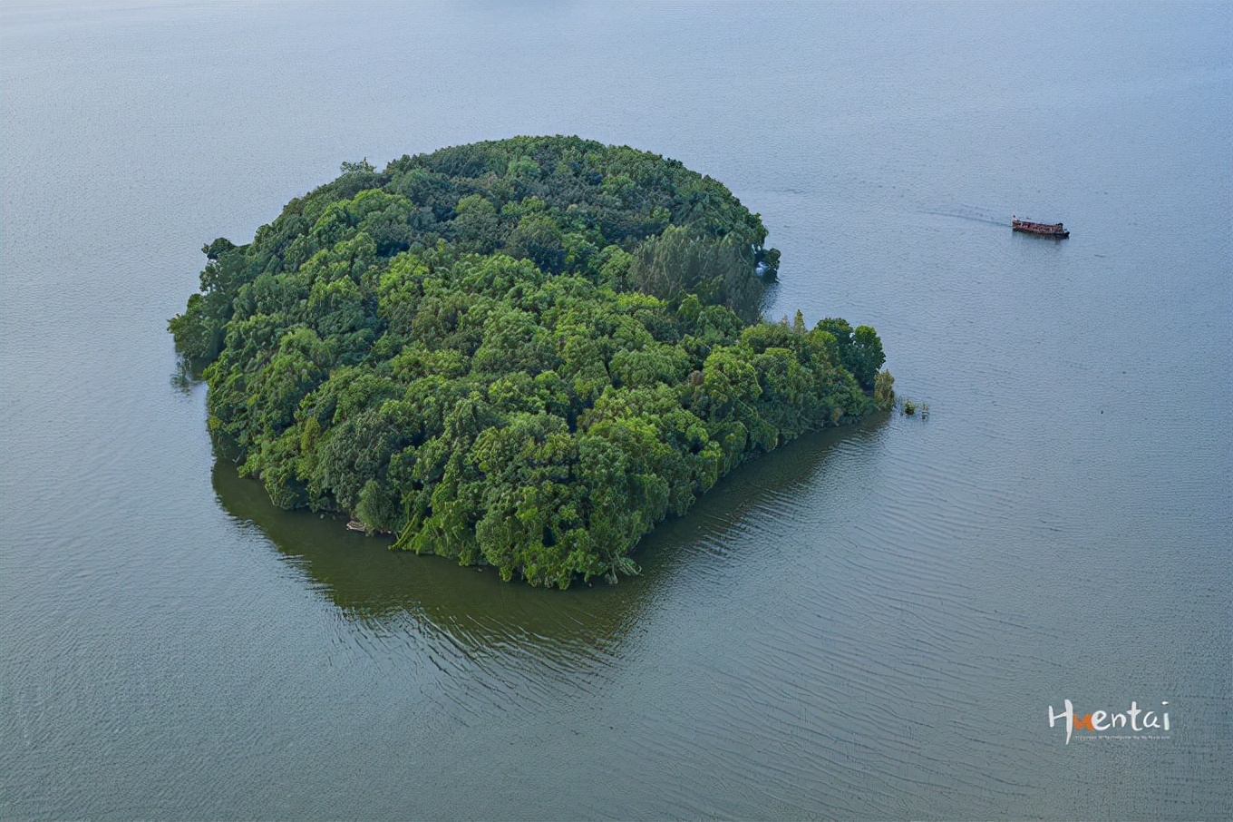 莲花佛国池州,九华山莲花佛国图片