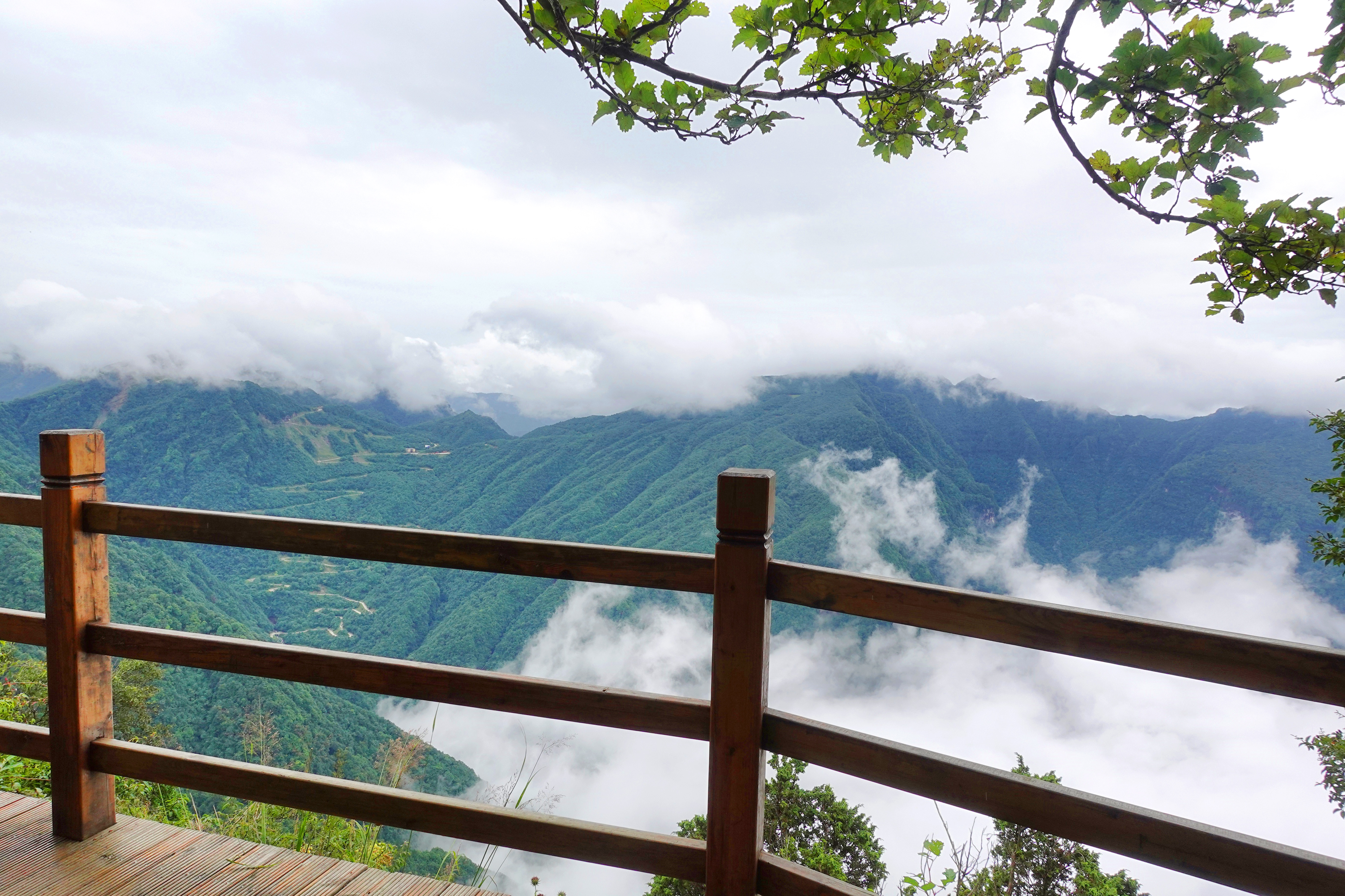 汉中自驾游旅游攻略最佳路线,汉中吃喝玩乐攻略一日游推荐
