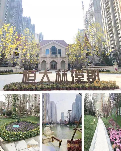 淄博高新区新东方幼儿园,淄博高新区春风幼儿园