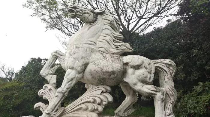 南京哪些景点春节免票,南京景点及门票优惠政策