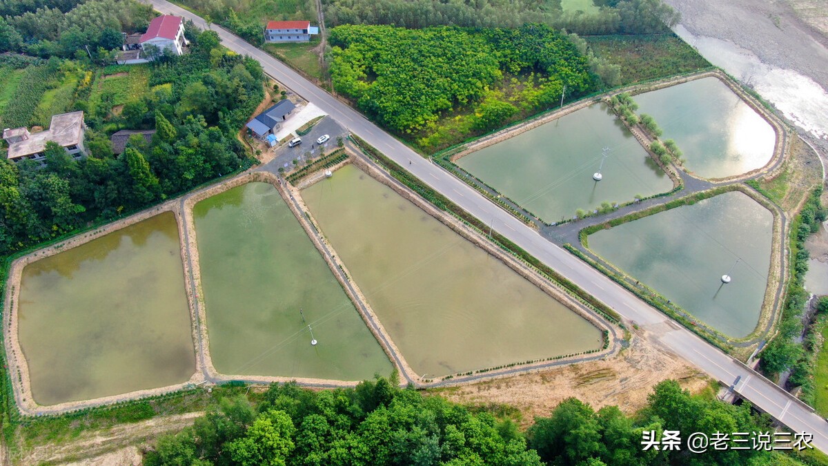 河北一小伙，租弃坑干起了这一行，带领20户农民致富，收入翻倍