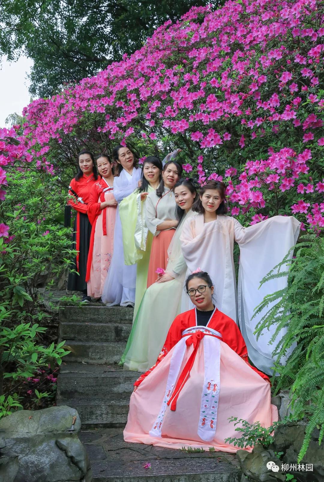 柳州柳侯公园有什么景物,柳州柳侯公园值得打卡