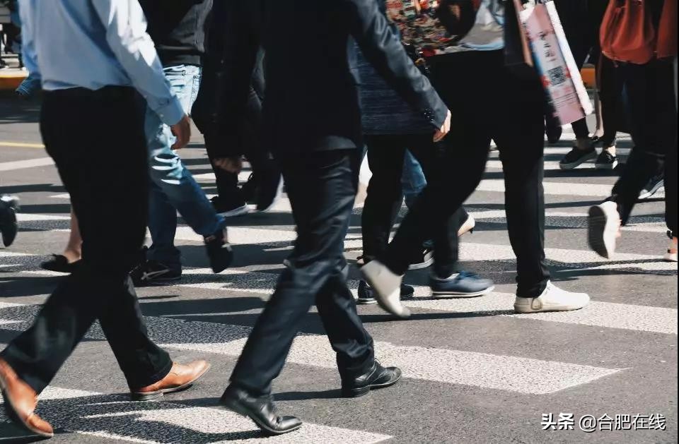 合肥投资界的黑马,合肥下一个黑马是谁