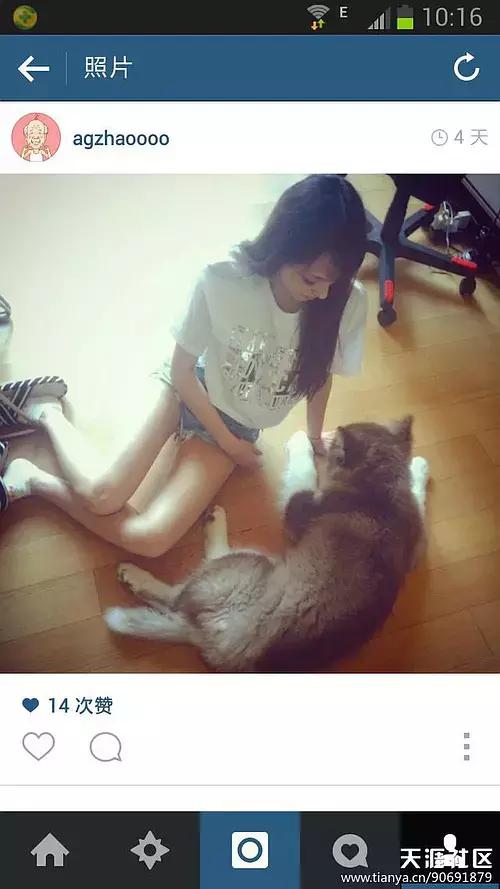 王思聪感情被骗经历,王思聪感情史