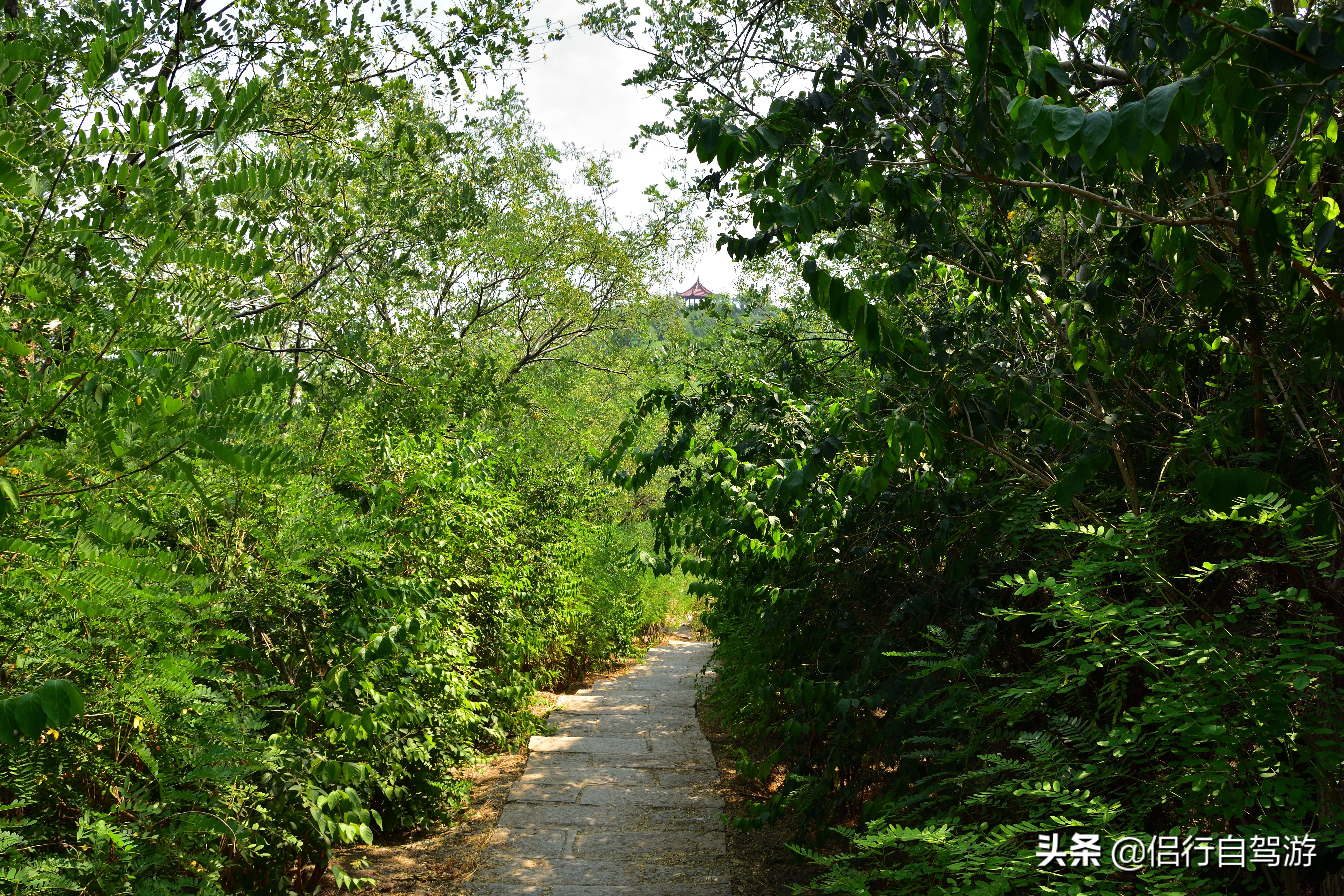 天津冷门却超美的海边小镇,天津大港旅游攻略