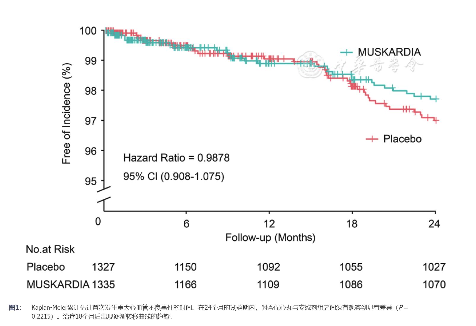 麝香保心丸冠心病,麝香保心丸治疗冠心病