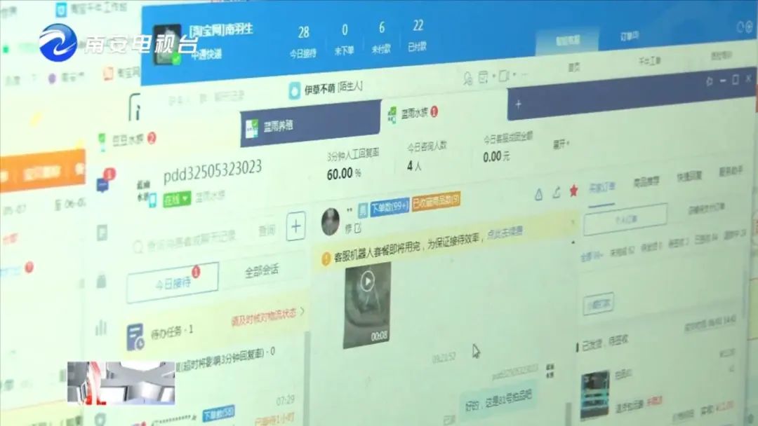 90后小伙的“斗鱼”梦:泰国斗鱼从南安“游”到全国各地!