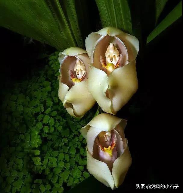 亲眼见过的自然界奇观有哪些,你见过大自然哪些奇妙的景色