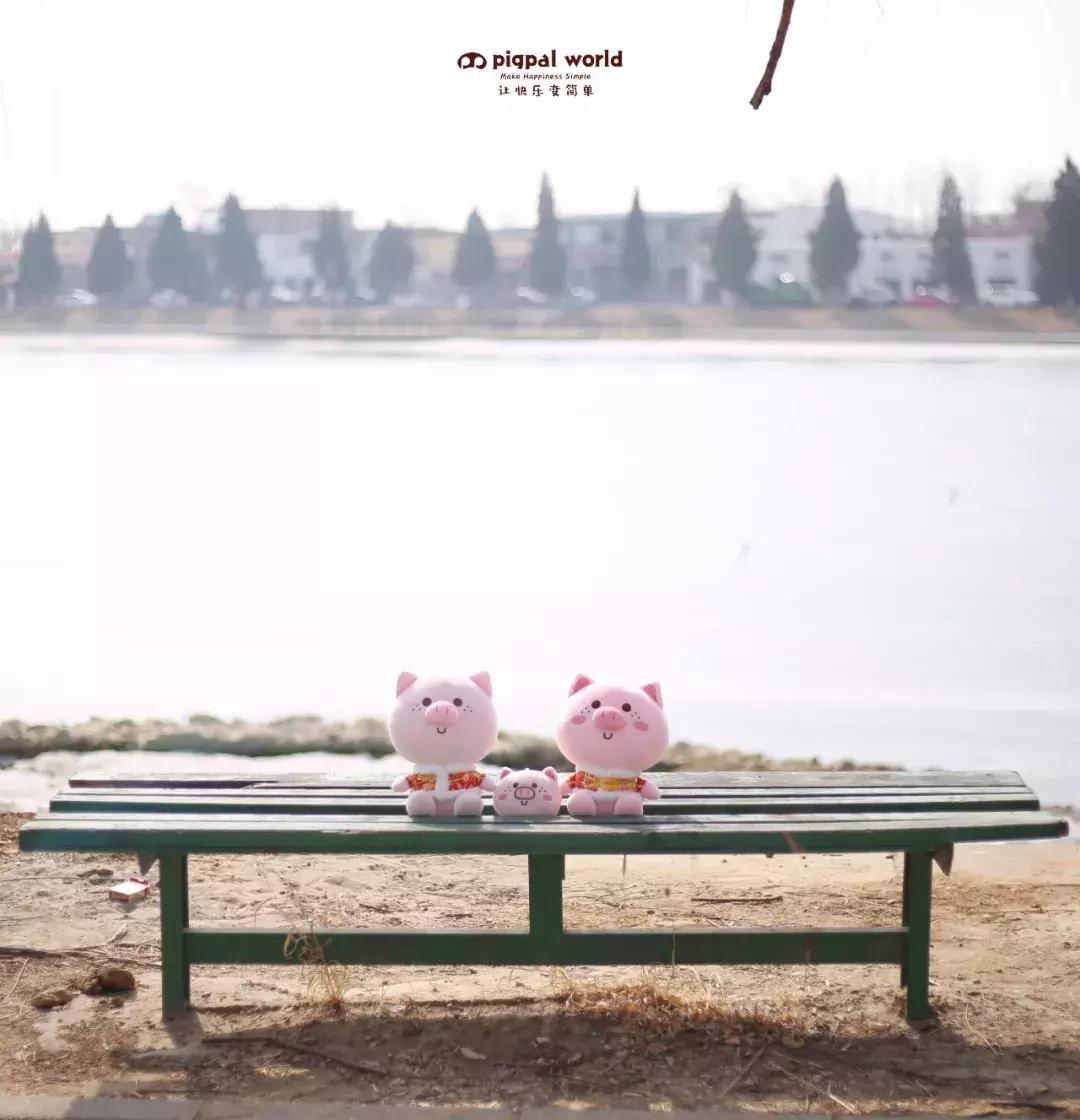 面包和梦想你选哪个,面包和梦想哪个重要