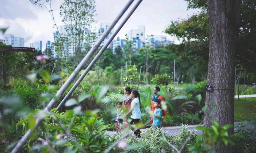 新加坡移民门槛为什么提高,新加坡为什么降低移民门槛