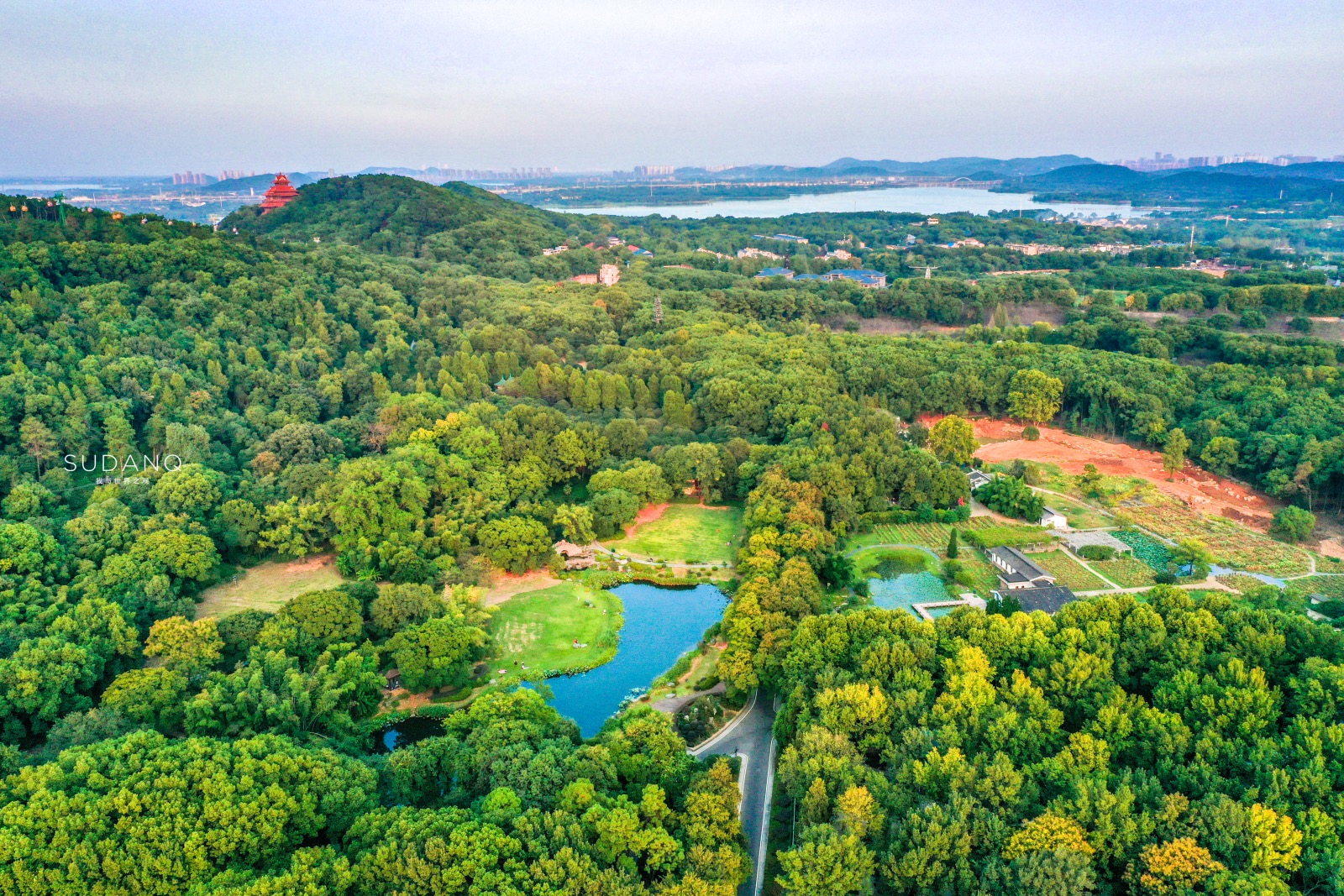 武汉东湖发生什么事,武汉东湖最近发生的大事